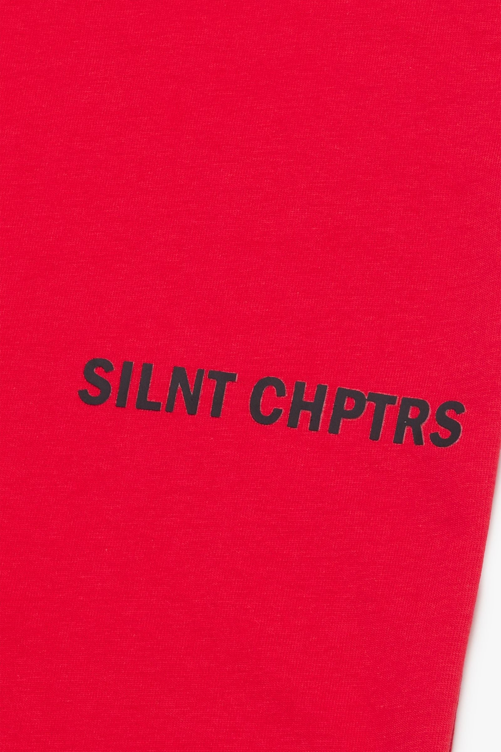 SILNT CHPTRS EMBRACE THE CHPTRS