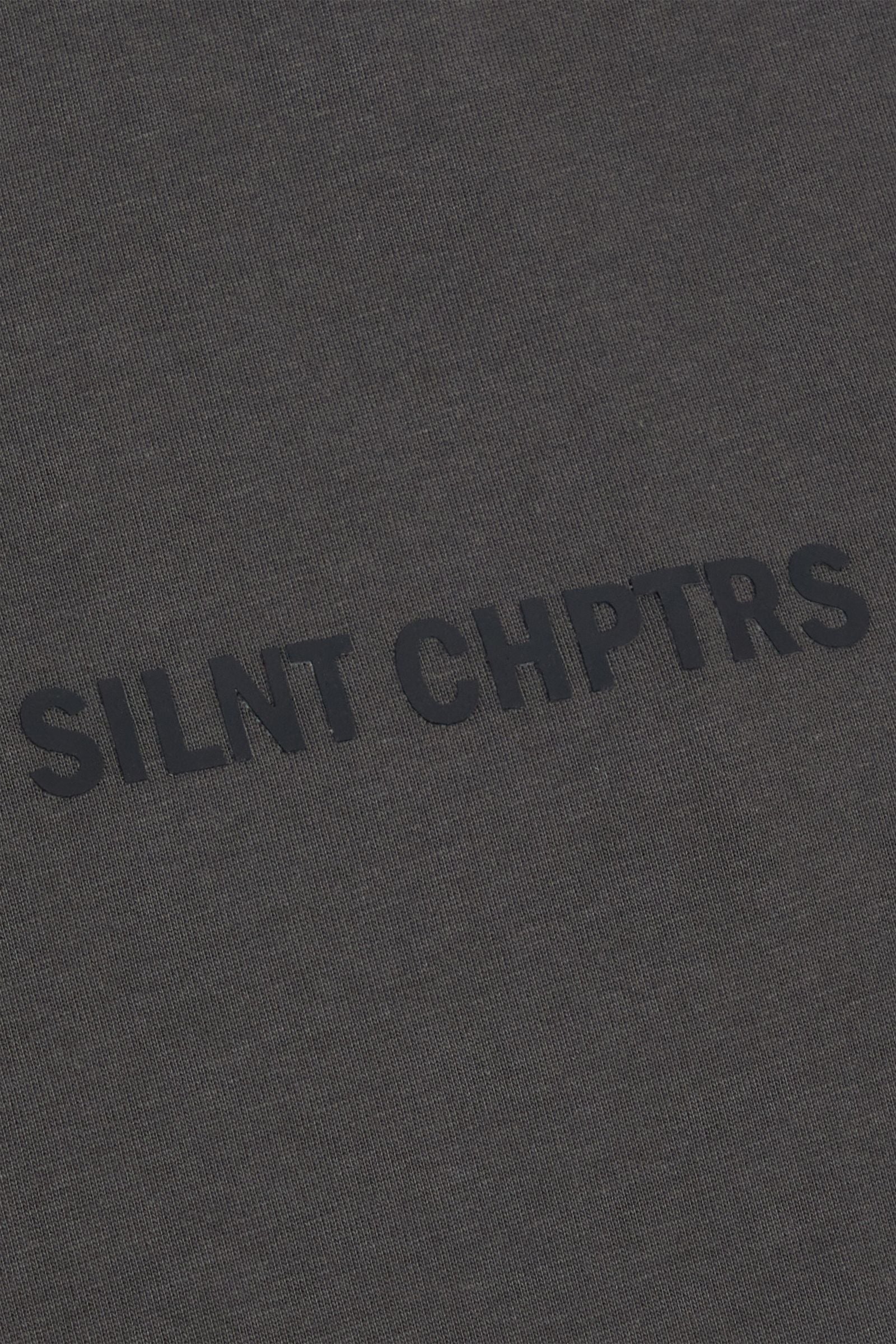 SILNT CHPTRS ART OF SILENCE